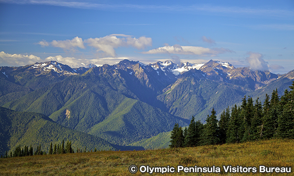 Olympic National Park
